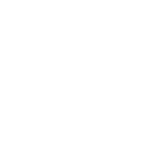 logo_AIVZ_aliance3